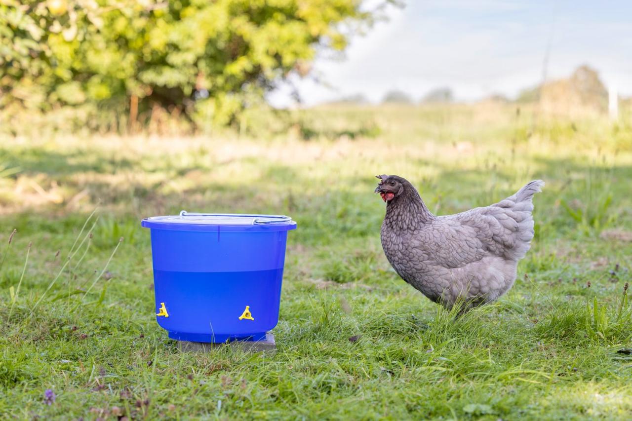 Tränkeeimer 12 Liter für Geflügel