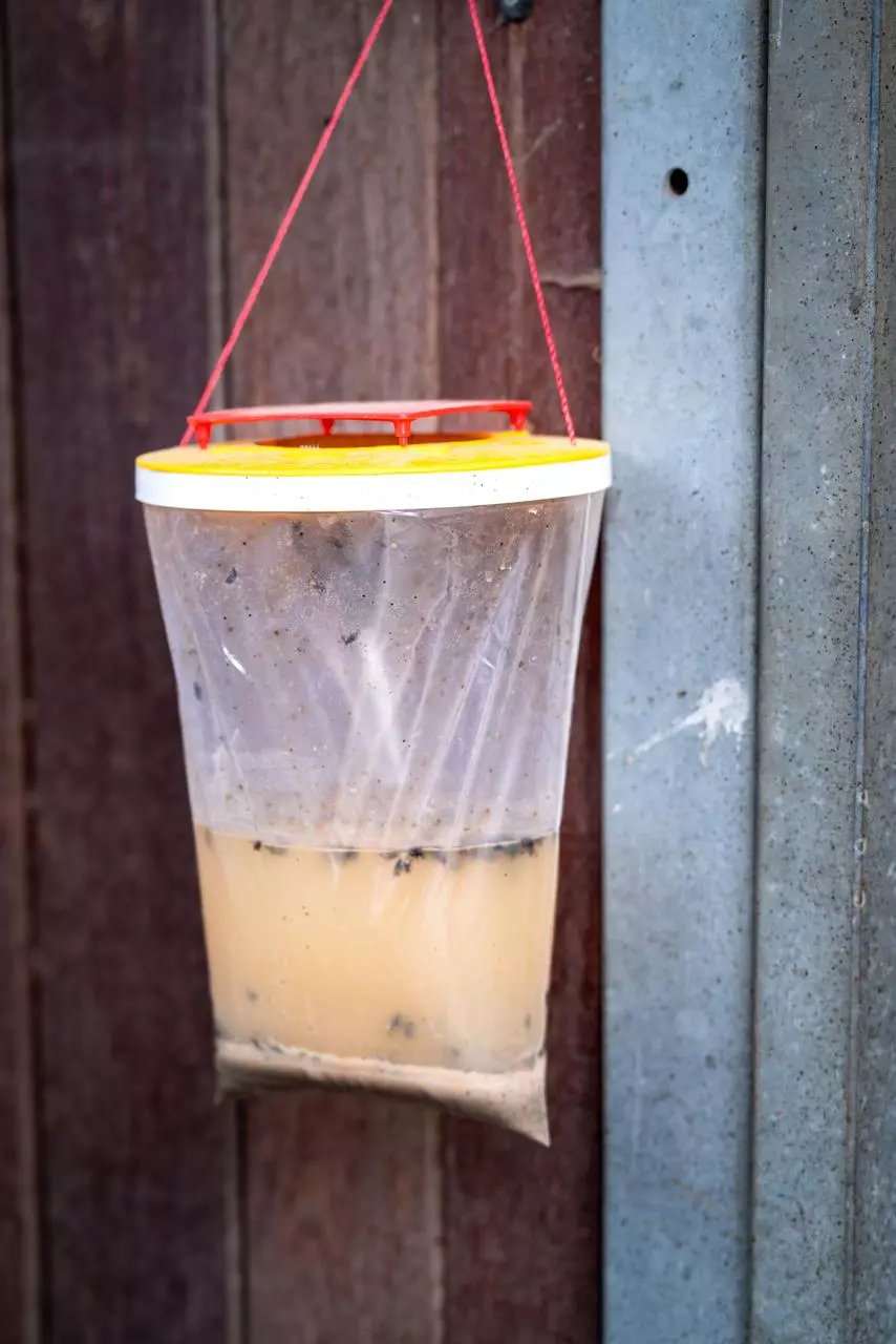REDTOP Fliegenfalle , Größe L, 3 Liter