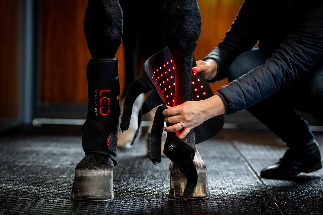 Horseware LED Red Light Therapy Leg Wrap