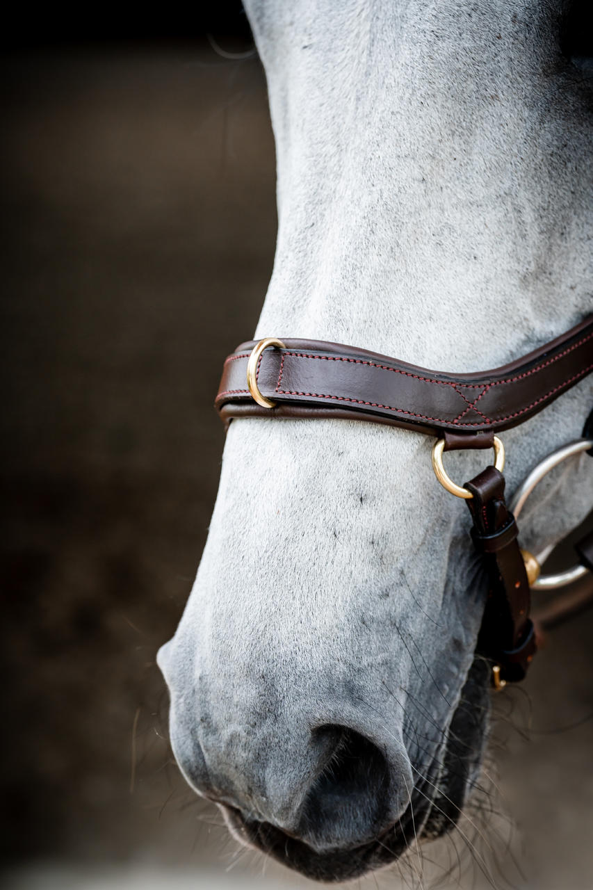 Horseware Briglia multiuso Micklem 2