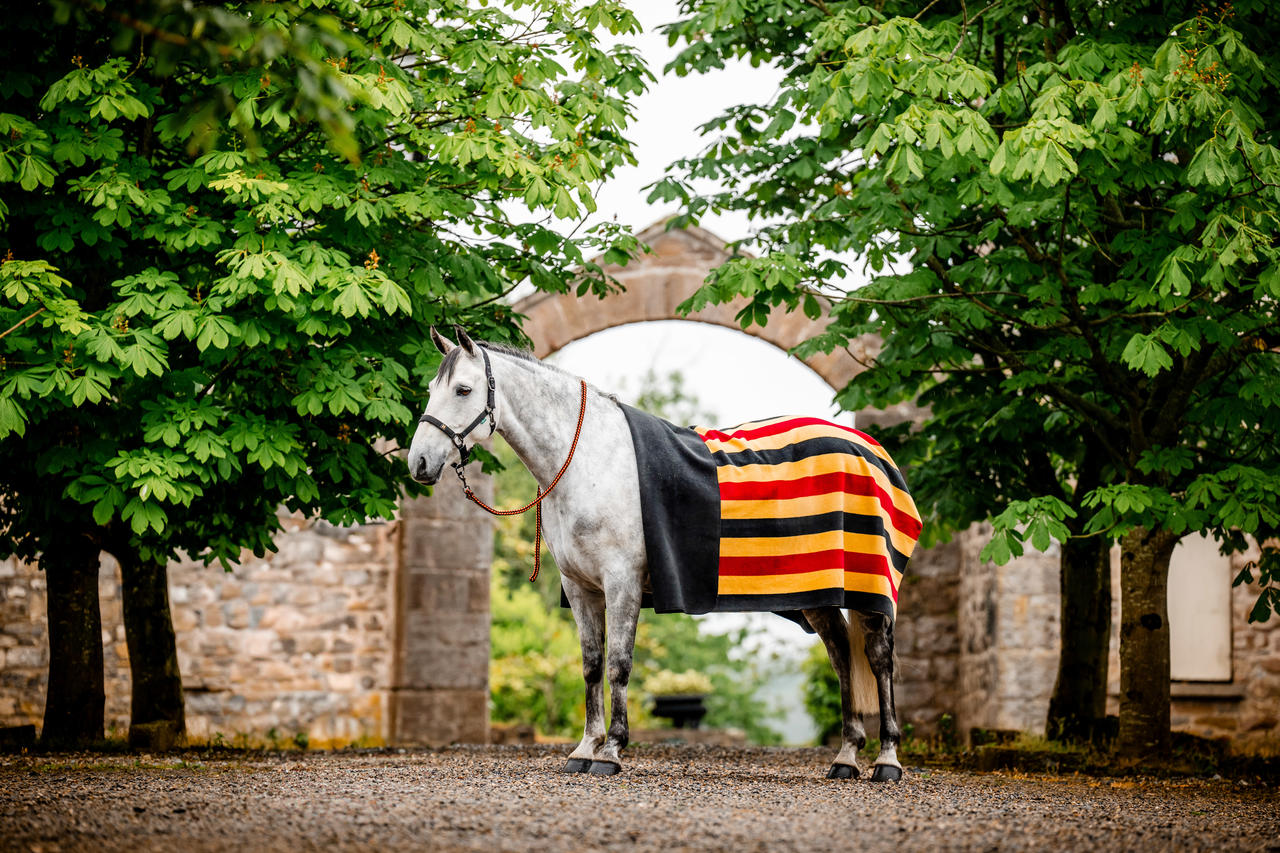 Horseware Coperta in pile Newmarket