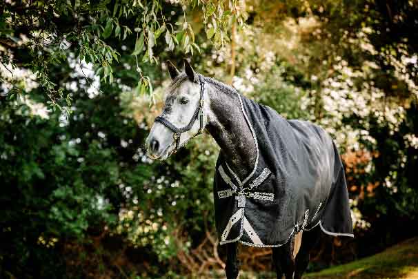 Horseware Amigo 1200D Wug Turnout 50g