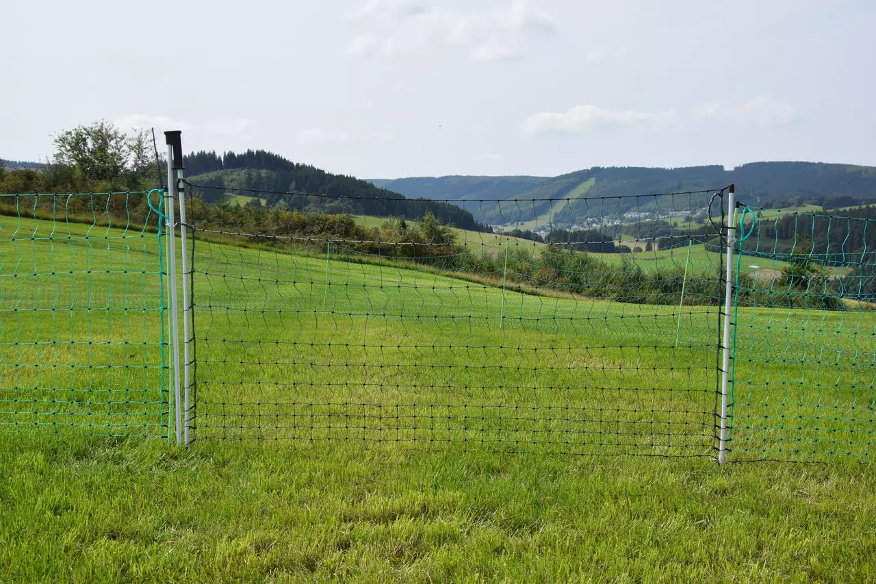 Göbel Euro-Netz-Tor Jumbo 112/2 - 3,0 m breit