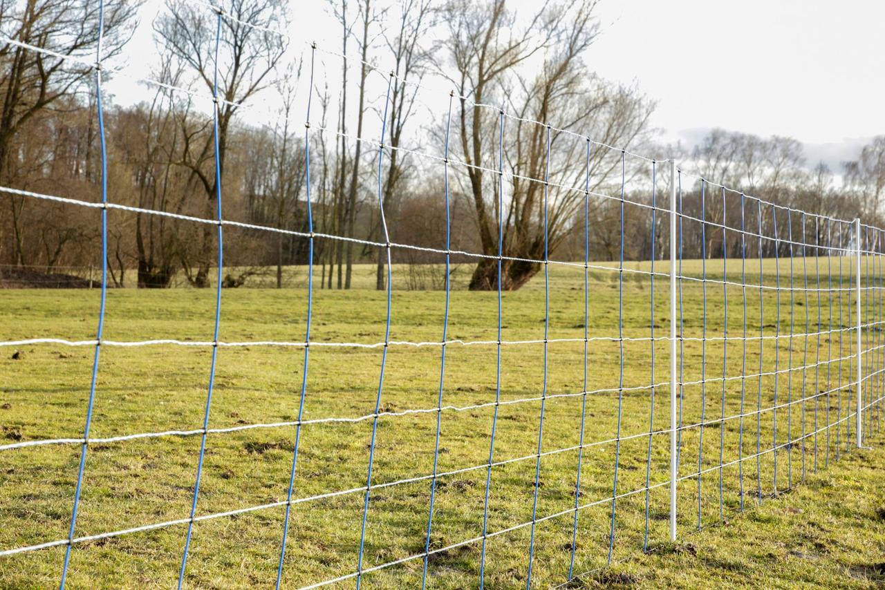 AKO TitanNet – rete per ovini, alta 145 cm, blu/bianca