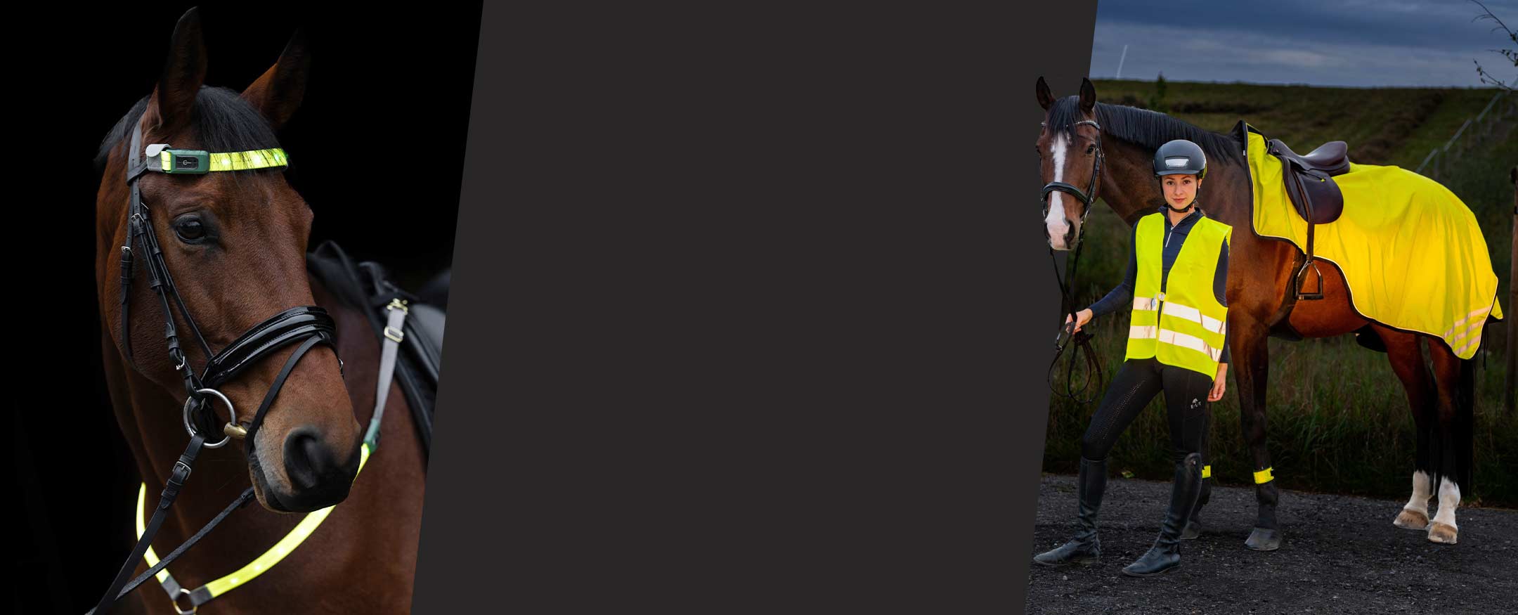 Reflex_2025_desktop