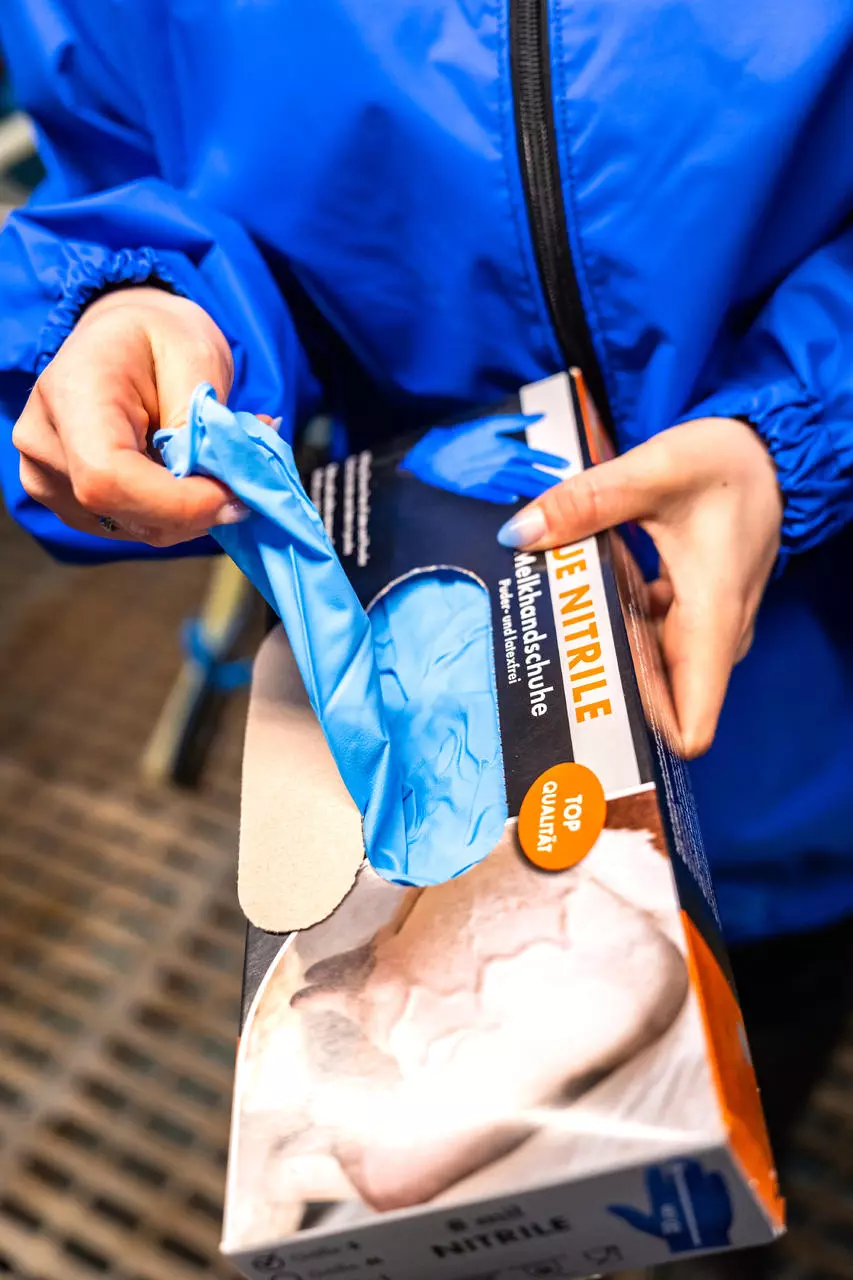 WAHL-Hausmarke Melkhandschuh BLUE NITRILE 8 mil