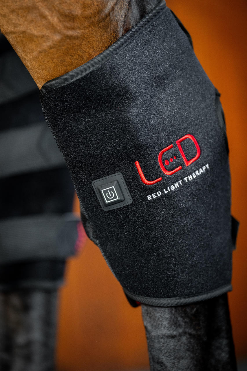 Horseware LED Red Light Therapy Hock Boot
