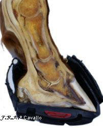Cavallo Stivali da zoccolo Trek Regular