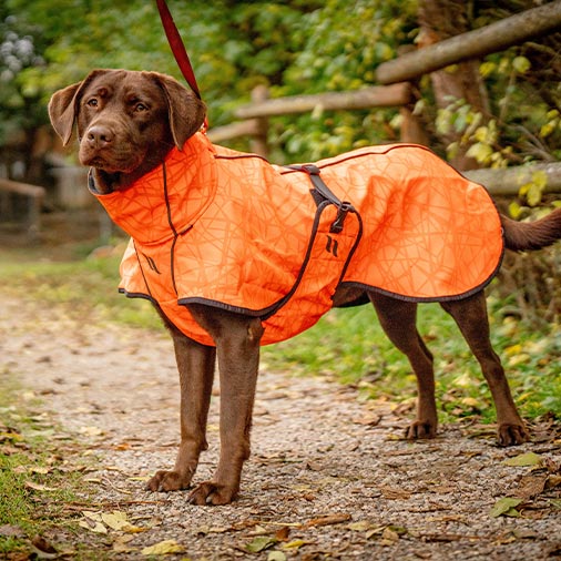 hund_Maentel