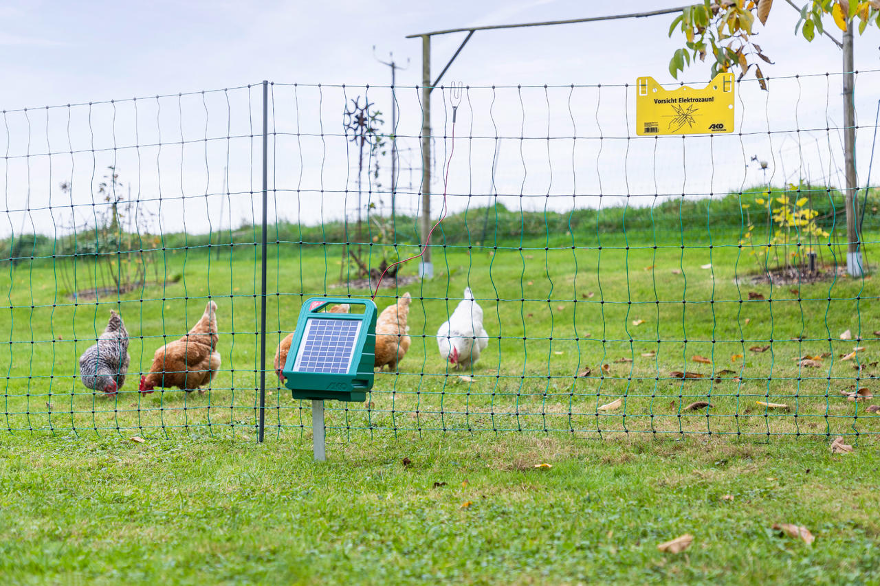 AKO PoultryNet Premium – rete per pollame, alta 122 cm, elettrica