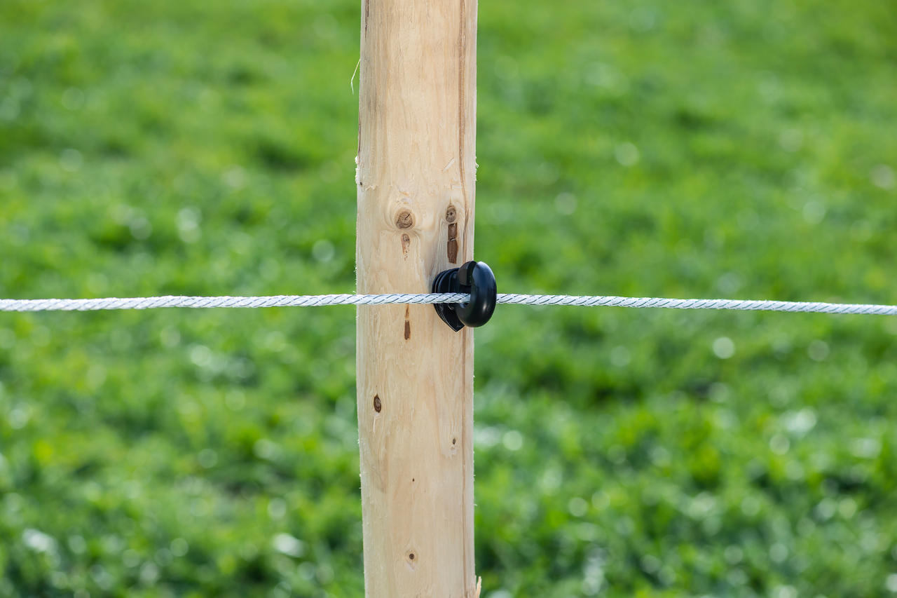 WAHL-FENCE Weidezaunseil - ULTRA - 6 mm / 500 m