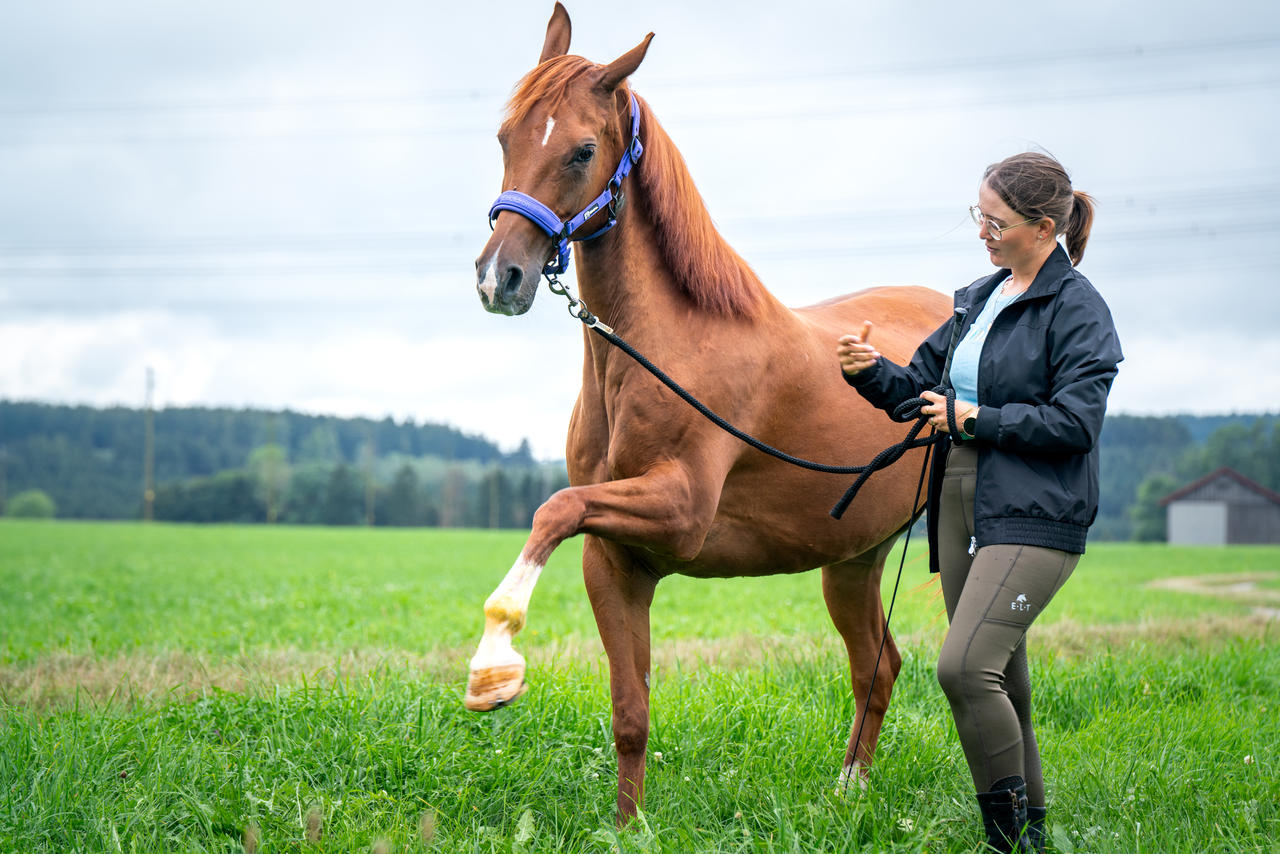 ELT Reitleggings Ella