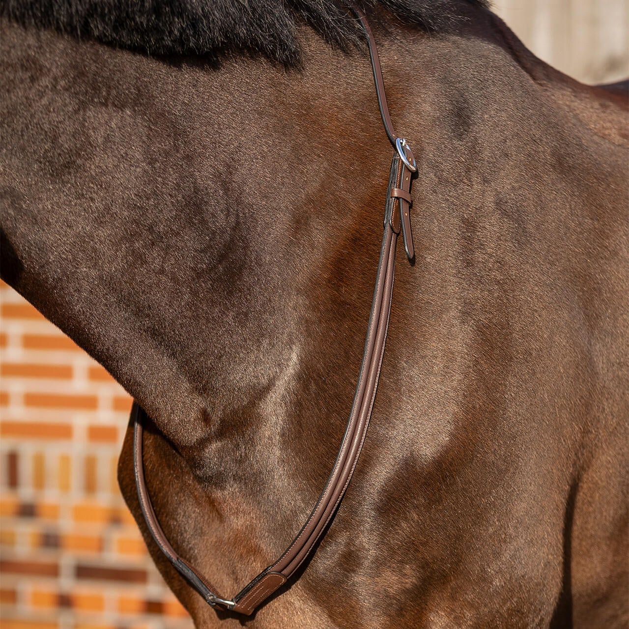 QHP Leder Halsring Liberta