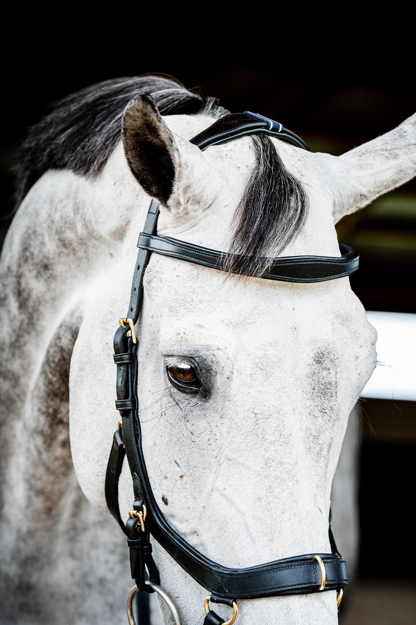 Horseware Micklem 2 Multi Bridle Horseware Micklem 2 Multi Bridle