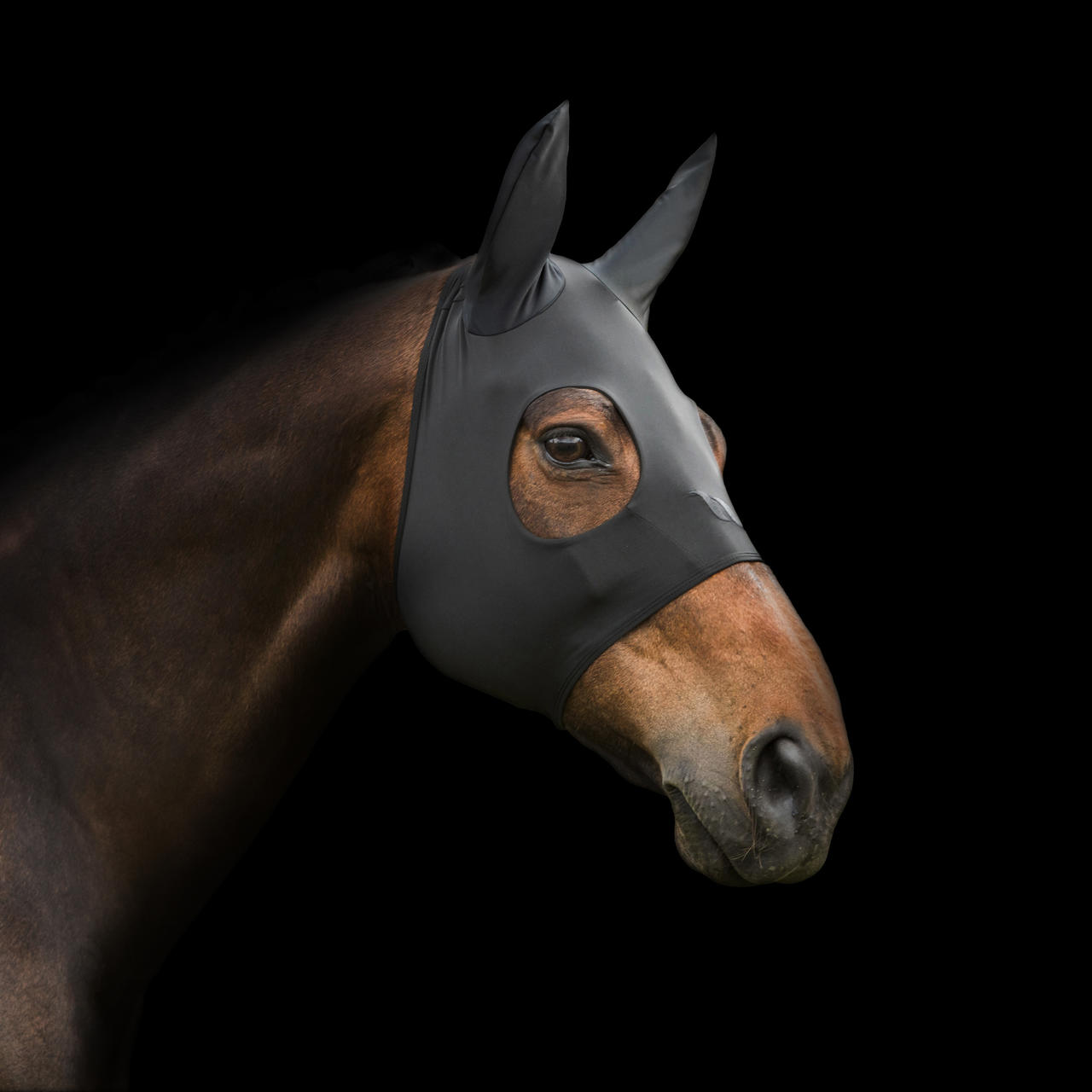 Back on Track "Spirit" Maschera calmante con orecchie