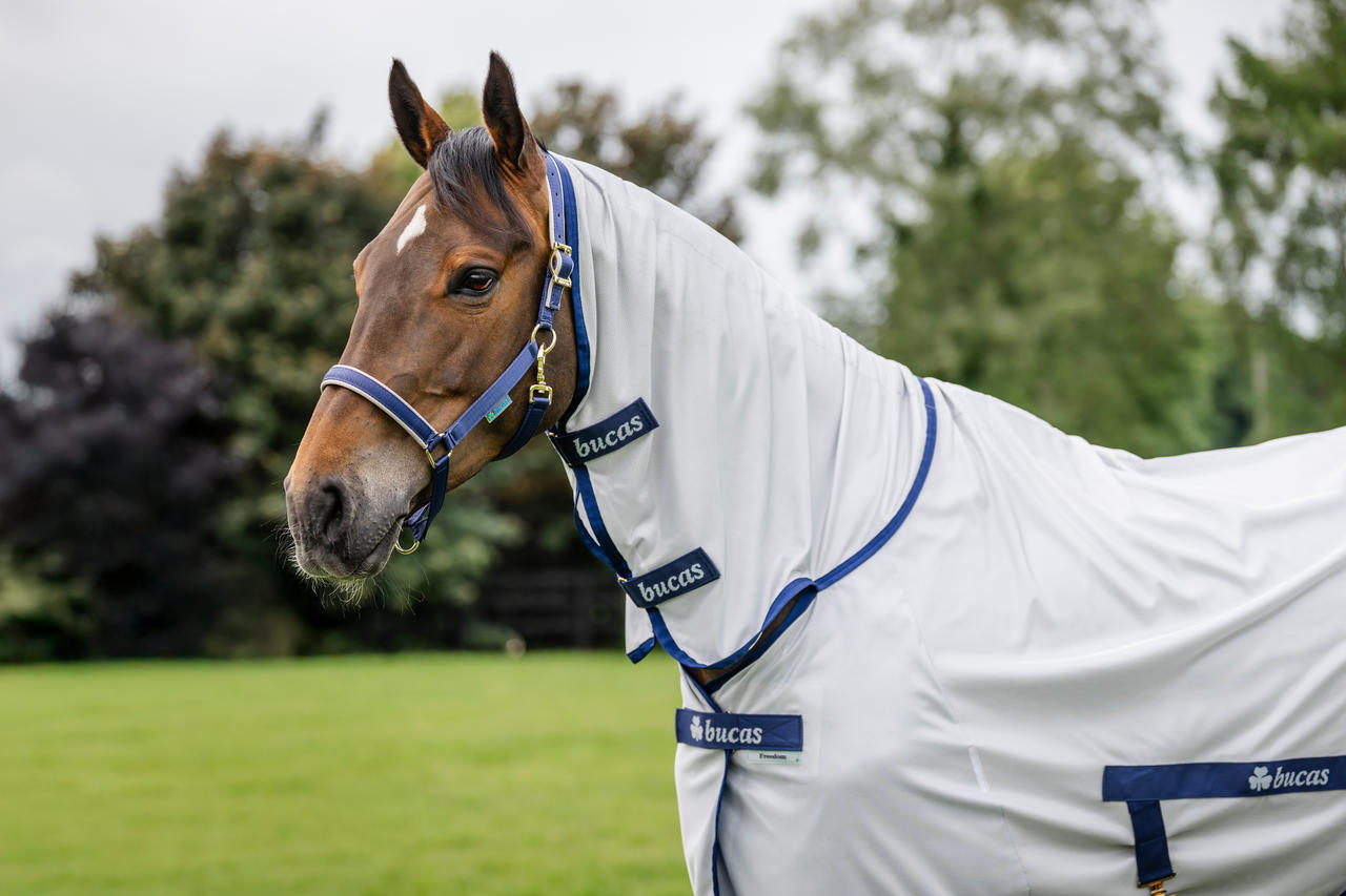 Bucas Freedom Fly Sheet Full Neck
