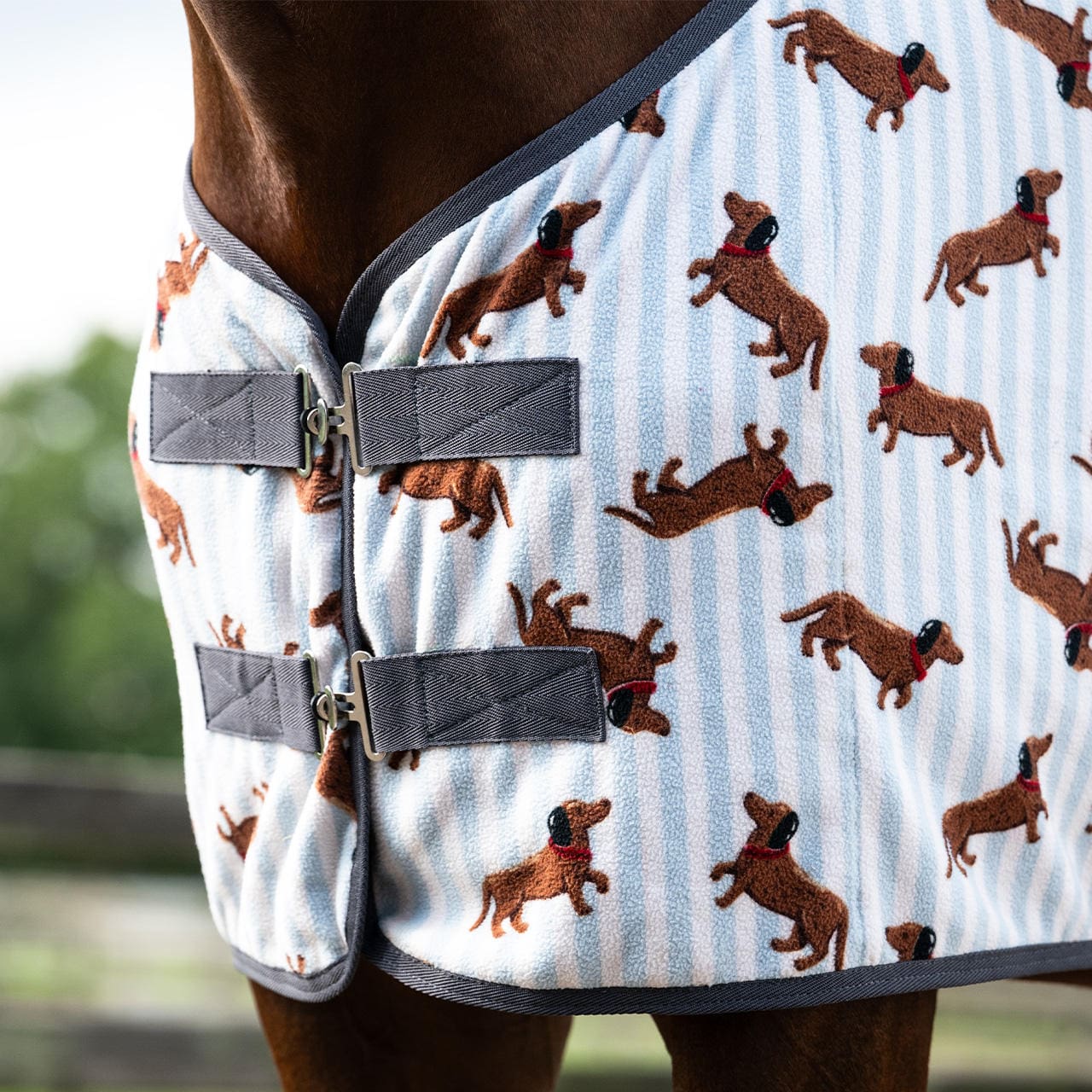 QHP Fleecedecke Stable Buddy