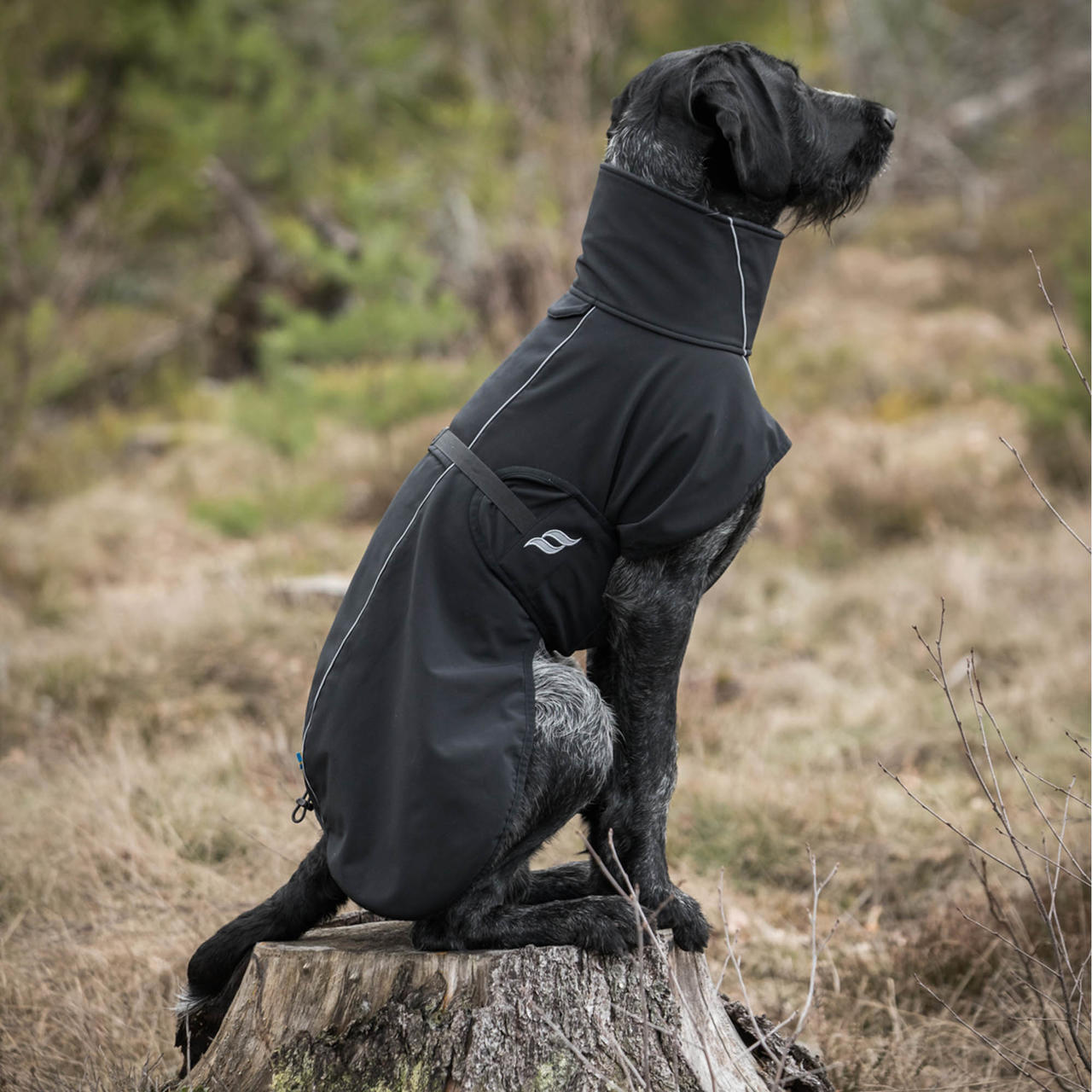 Back on Track Cappotto per cani Bark Allround