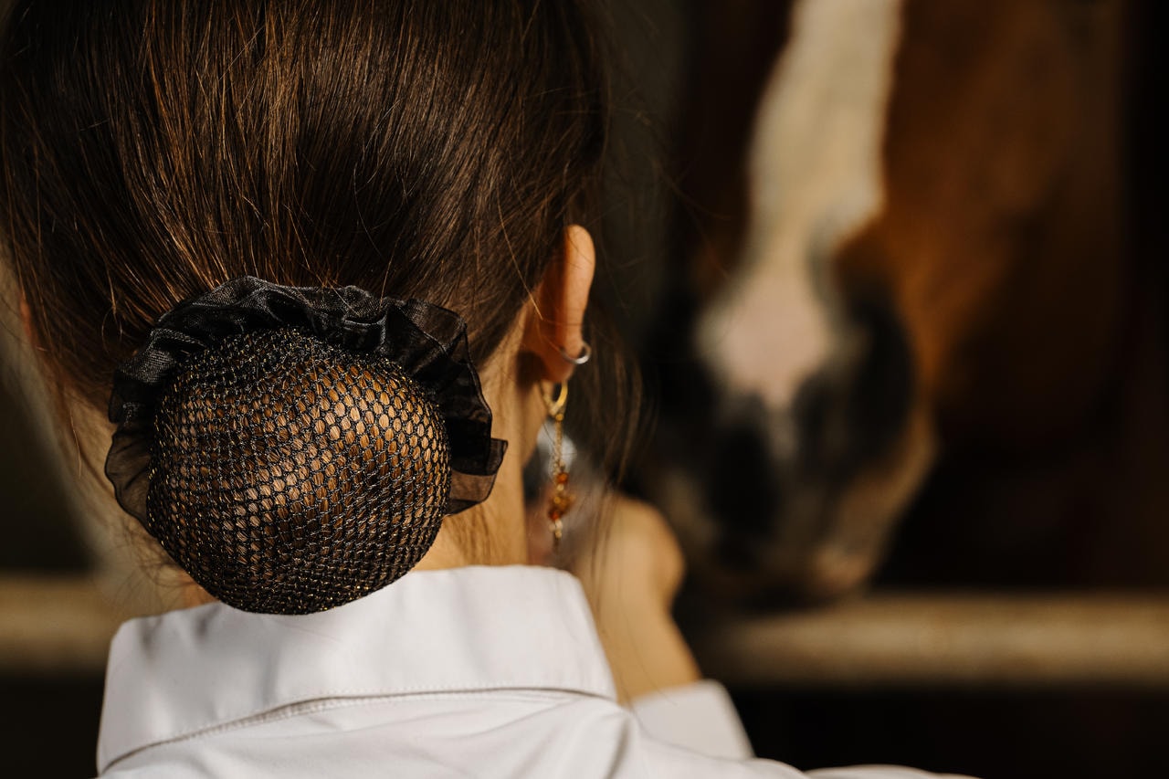 Equithème Rete per capelli lucida