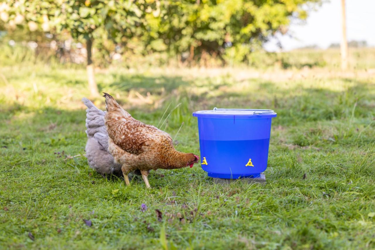 Tränkeeimer 12 Liter für Geflügel