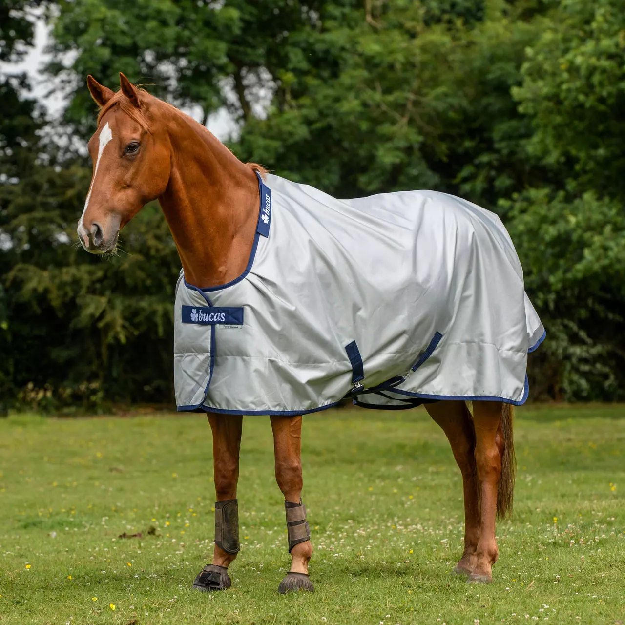 Bucas Power Turnout Light 0g