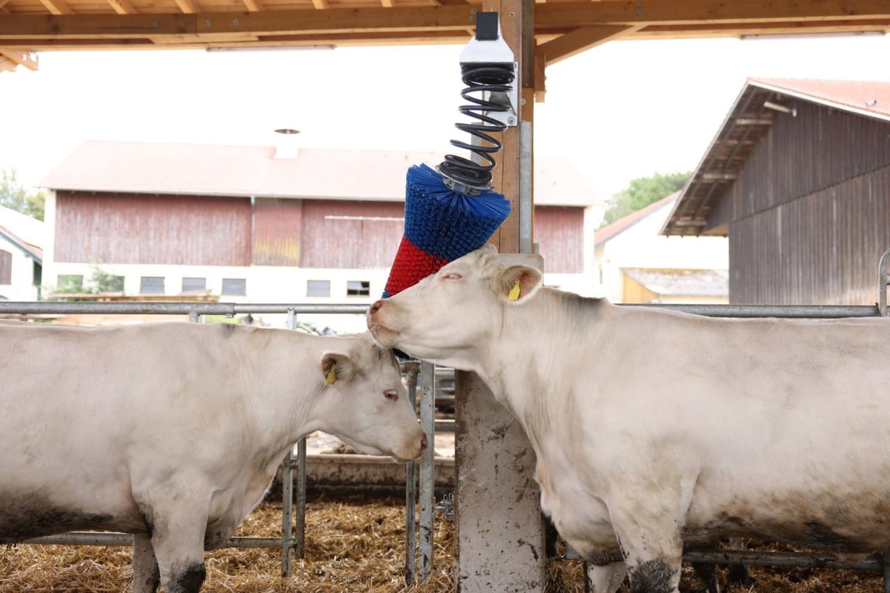 Kerbl Kratzbürste HAPPYCOW FlexiSwing