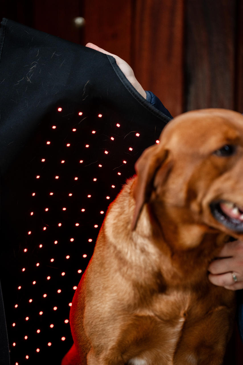 Horseware LED Red Light Therapy Pet Coat