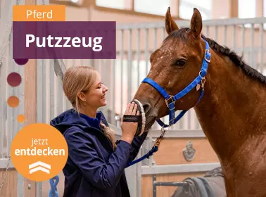 Putzzeug