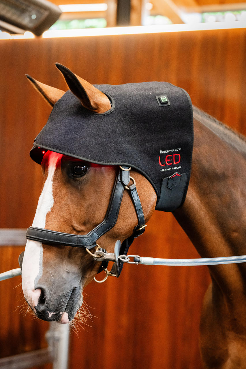 Horseware Cappuccio per sondino con luce rossa a LED