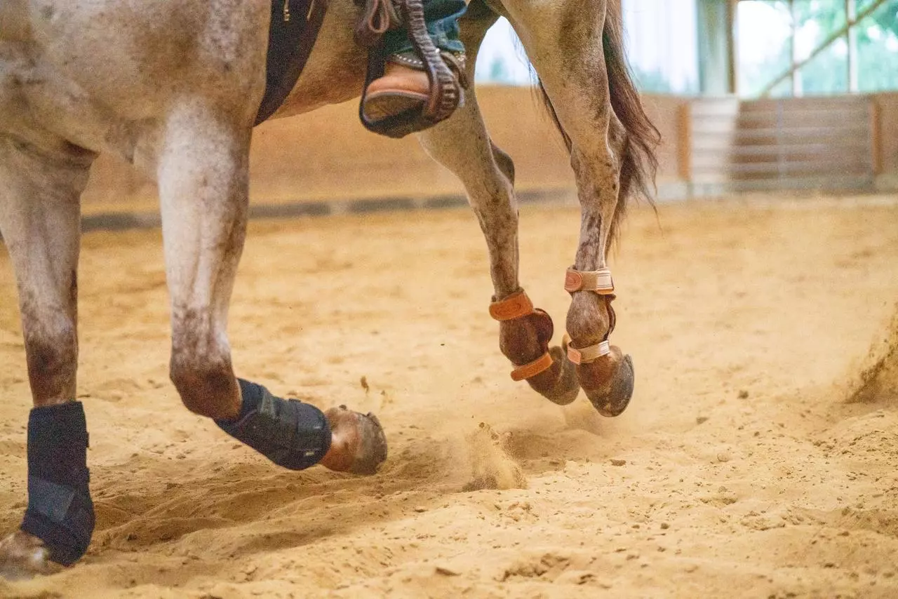 LAMI-CELL Skid Boot aus echtem Leder, Stück