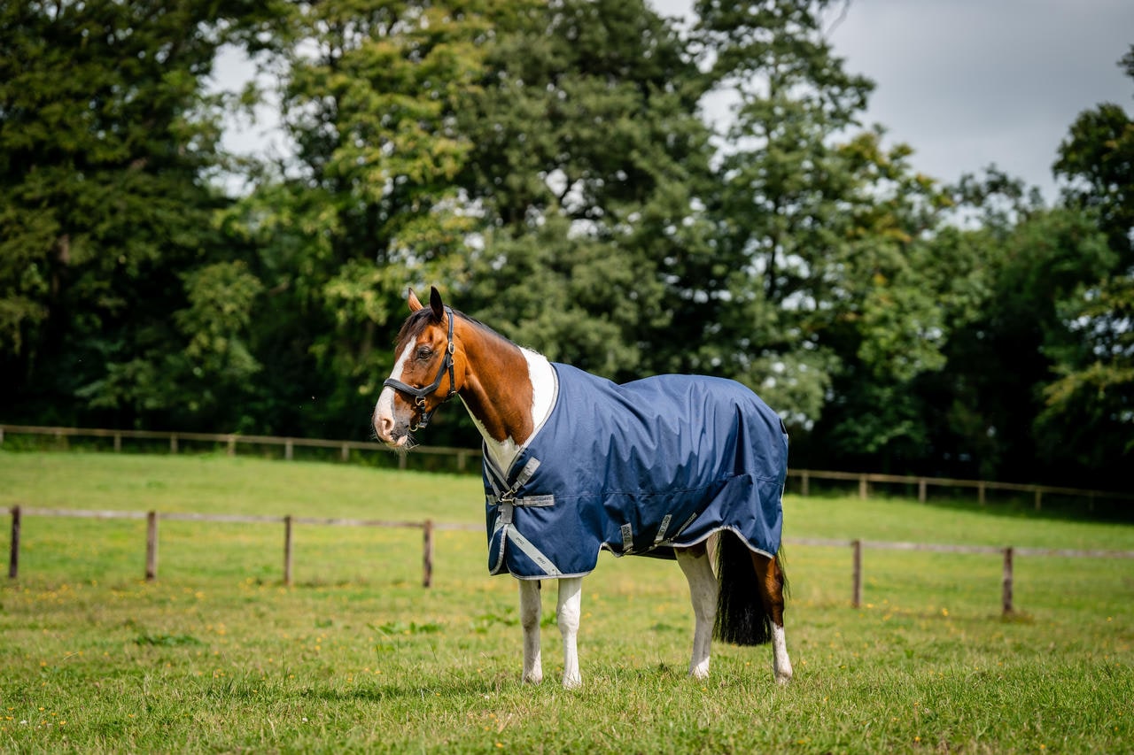 Horseware Amigo 1200D Turnout 50g