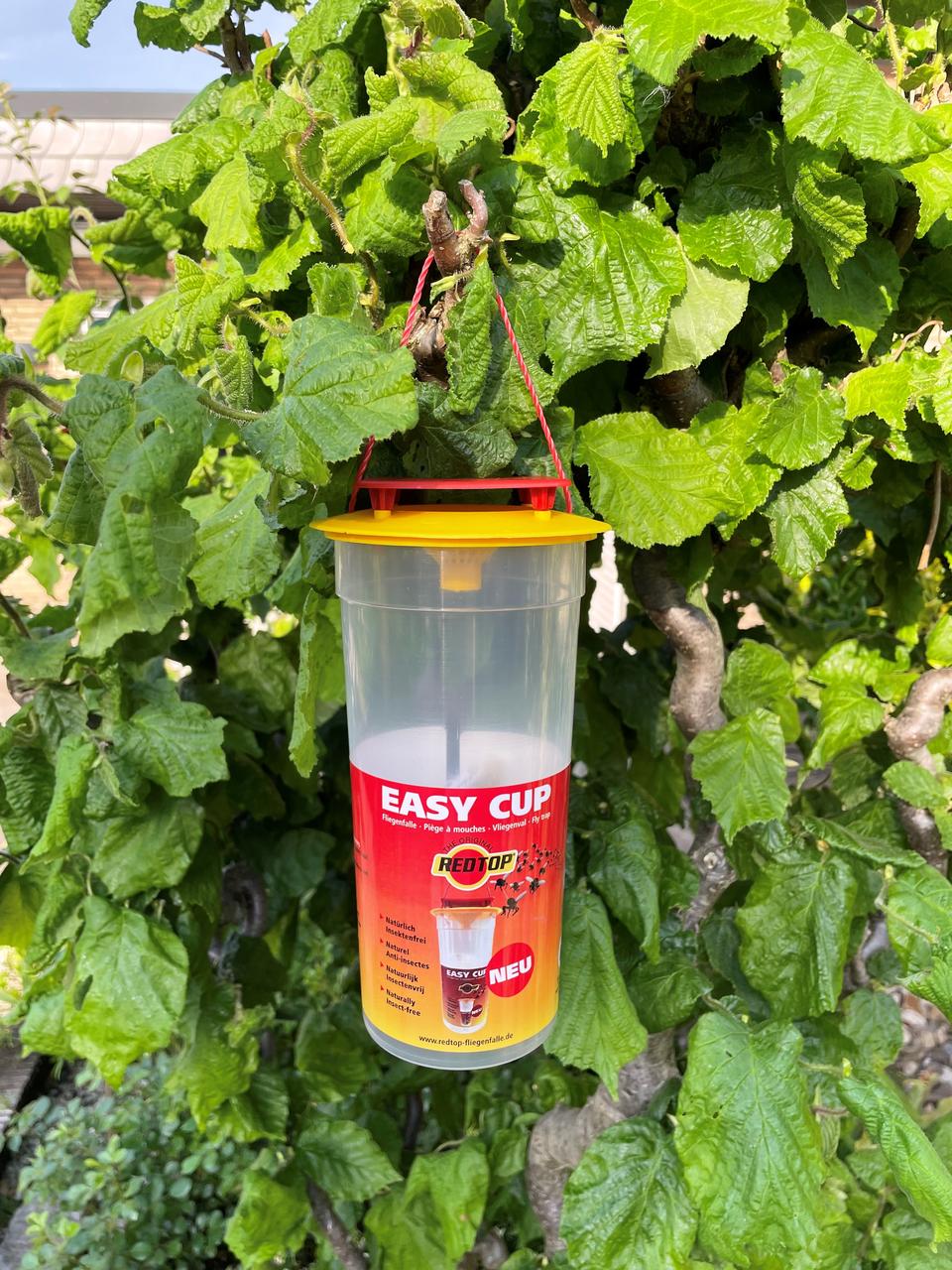 REDTOP Trappola per mosche Easy Cup