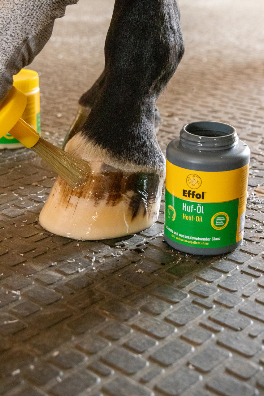 Effol Olio per zoccoli con olio di alloro 475 ml