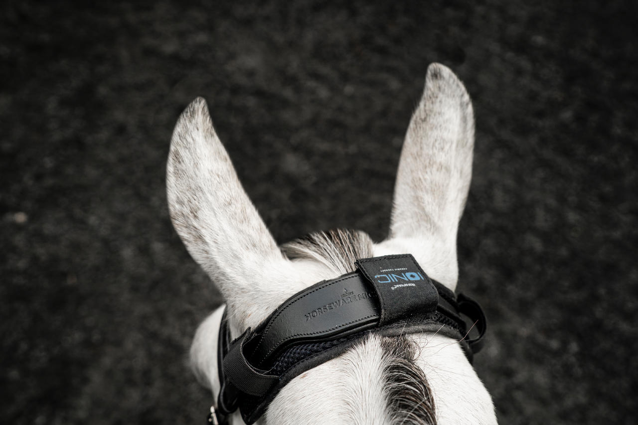 Horseware Ionic Poll Cover Horseware Ionic Poll Cover
