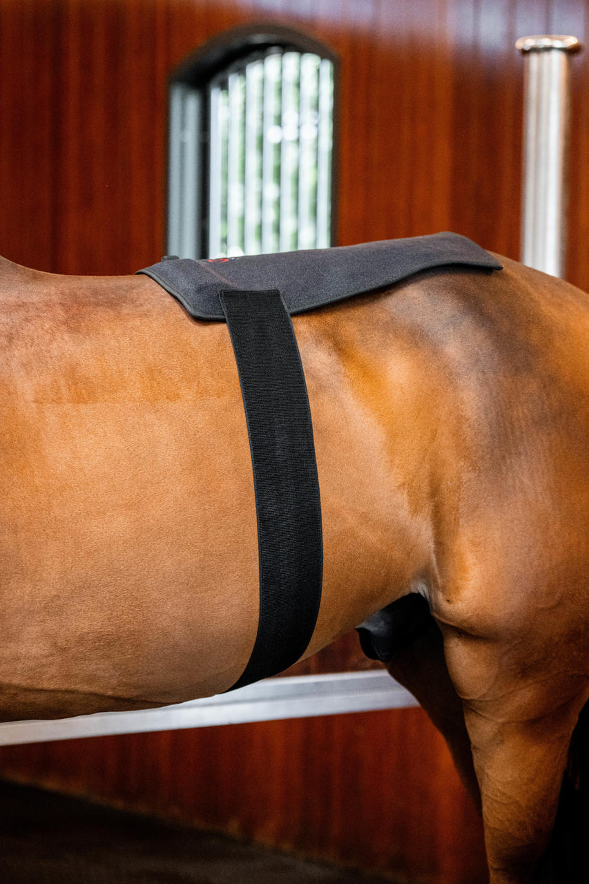 Horseware LED Red Light Therapy Pad