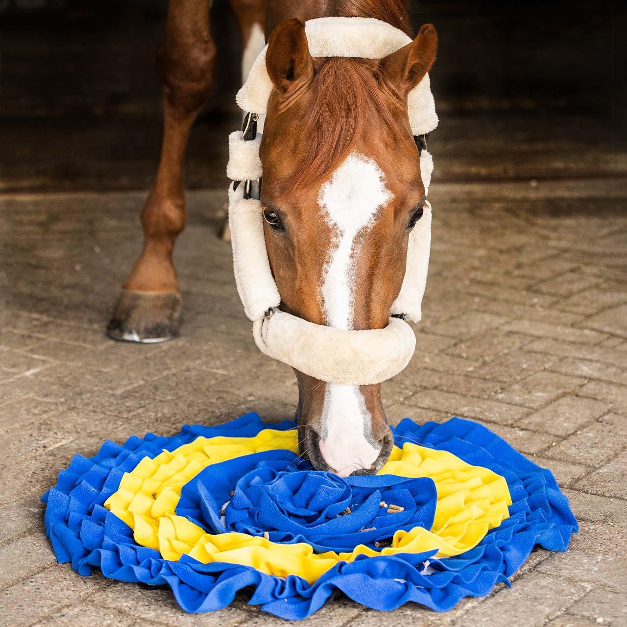 QHP Tappetino sniffer per cavalli