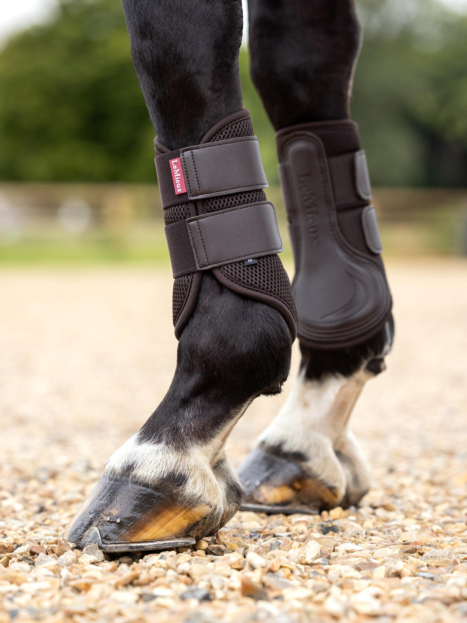 LeMieux Mesh Brushing Boot