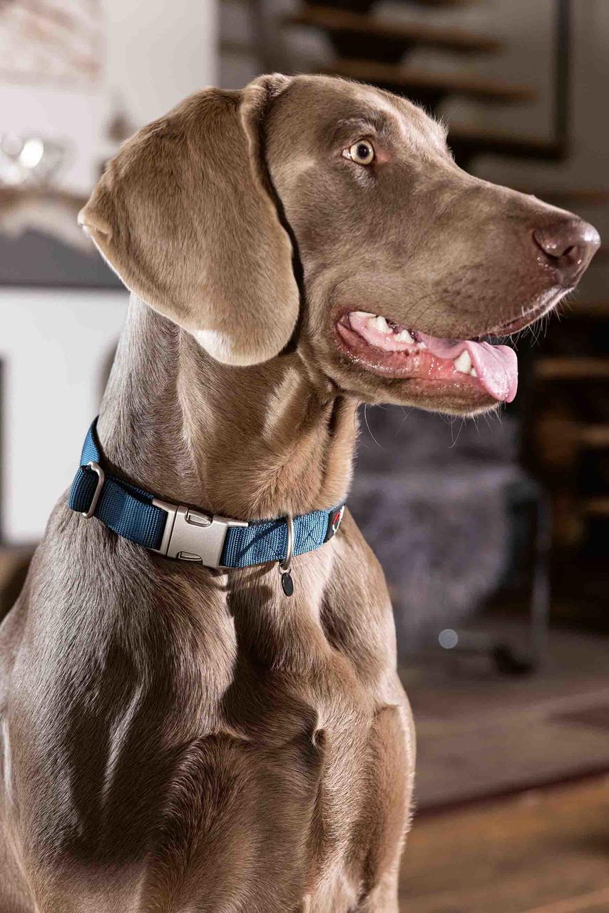 HKM Collare per cani -Anam Cara- Nylon
