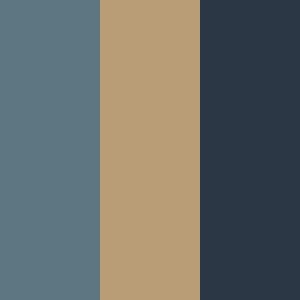 ocean-sierra-navy