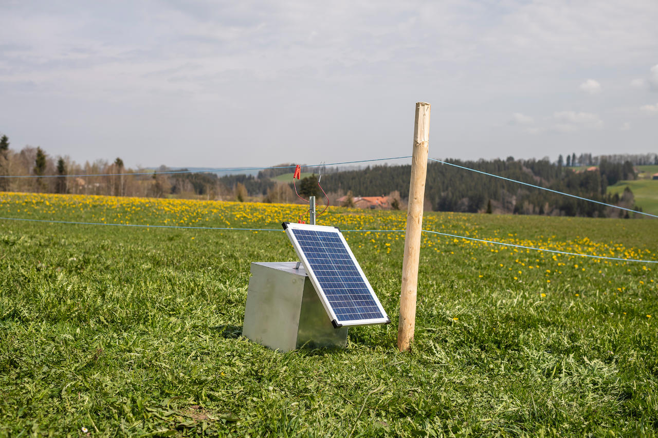 AKO Cassetta metallica per batterie per elettrificatori da 12 V