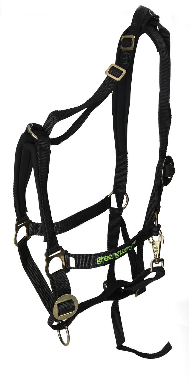greenguard Halfter Standard