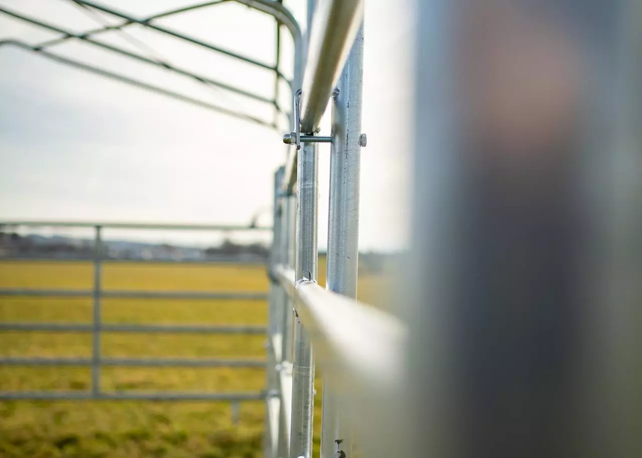 WAHL-FENCE Panel-Zelt 4,0 x 7,2 m - mit Front-Panel