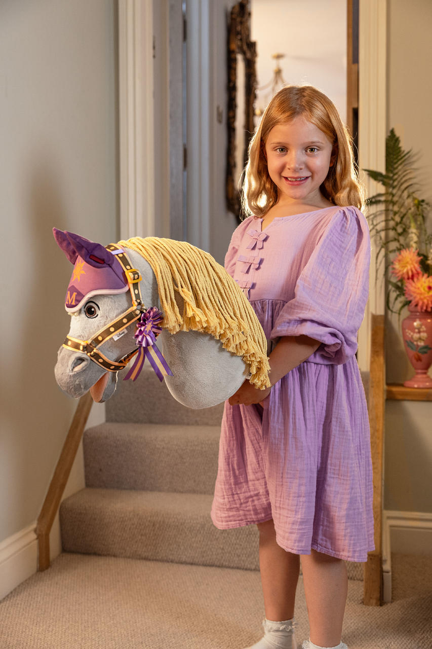 LeMieux Disney Hobby Horse