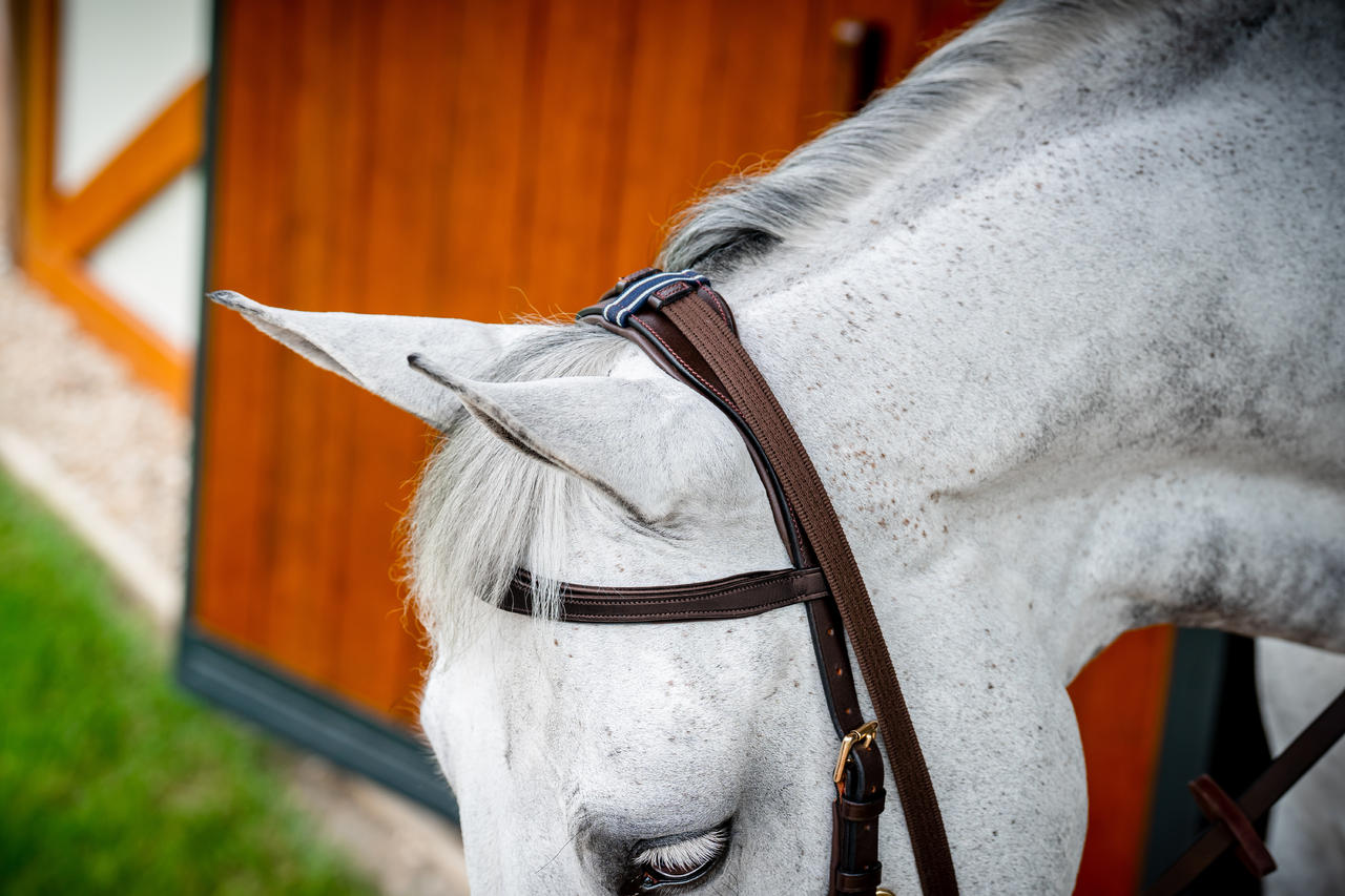 Horseware Briglia multiuso Micklem 2