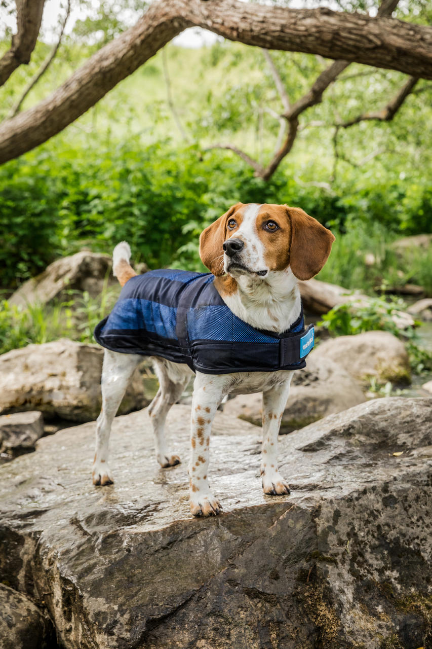 Cool on Track Cappotto rinfrescante per cani