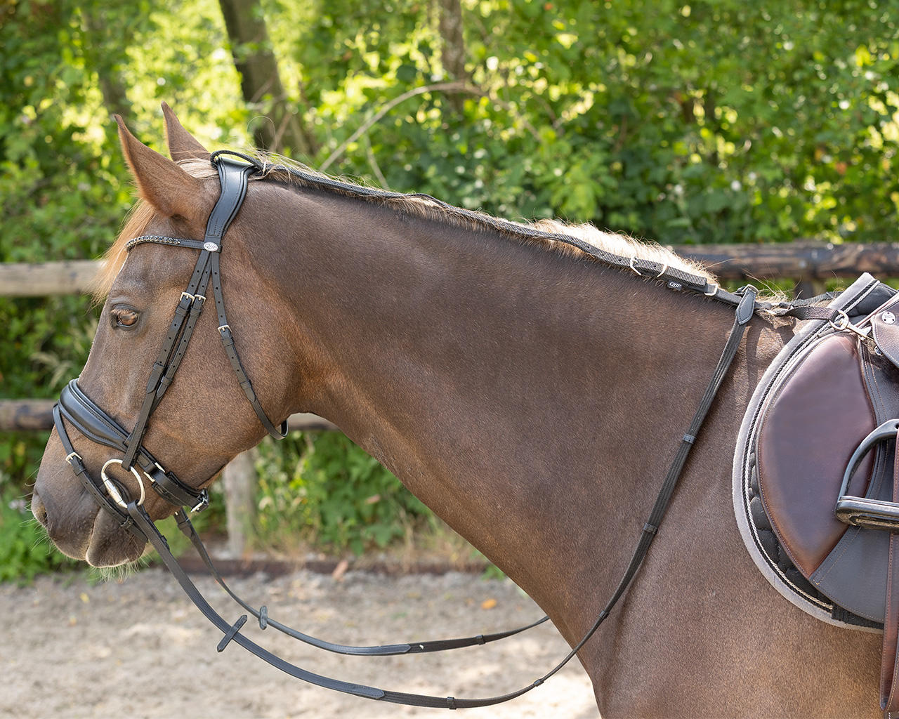 QHP Redini anti-pascolo