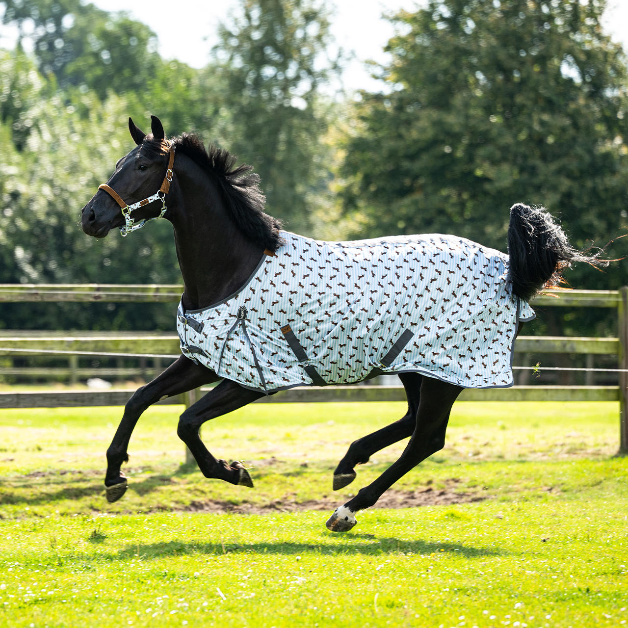 QHP Coperta antimosche Stable Buddy