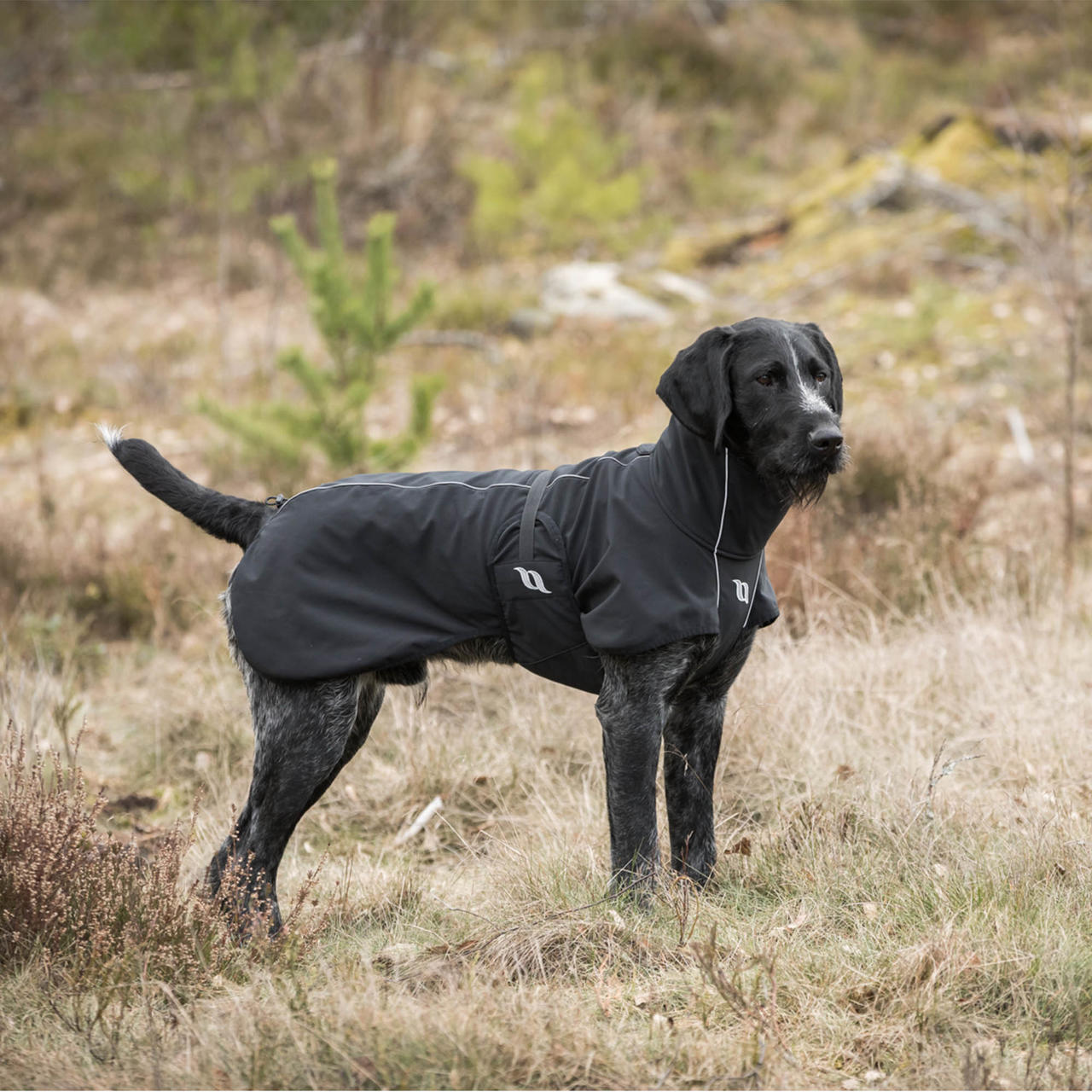 Back on Track Bark Allround Hundemantel
