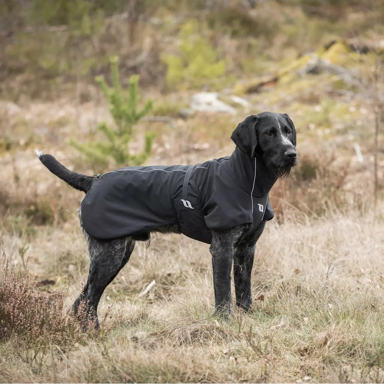 Back on Track Bark Allround Hundemantel