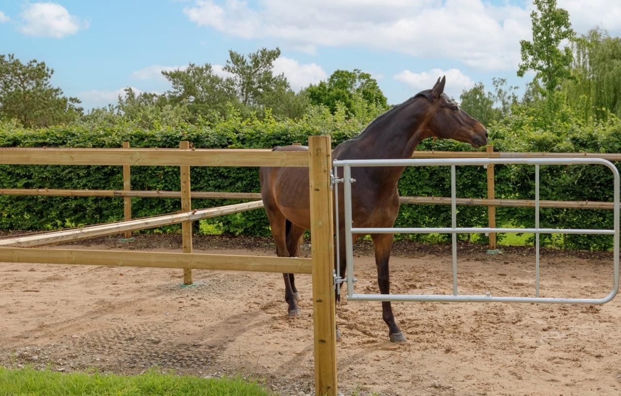 WAHL-FENCE Weidetor verstellbar für Pferde 2-4m